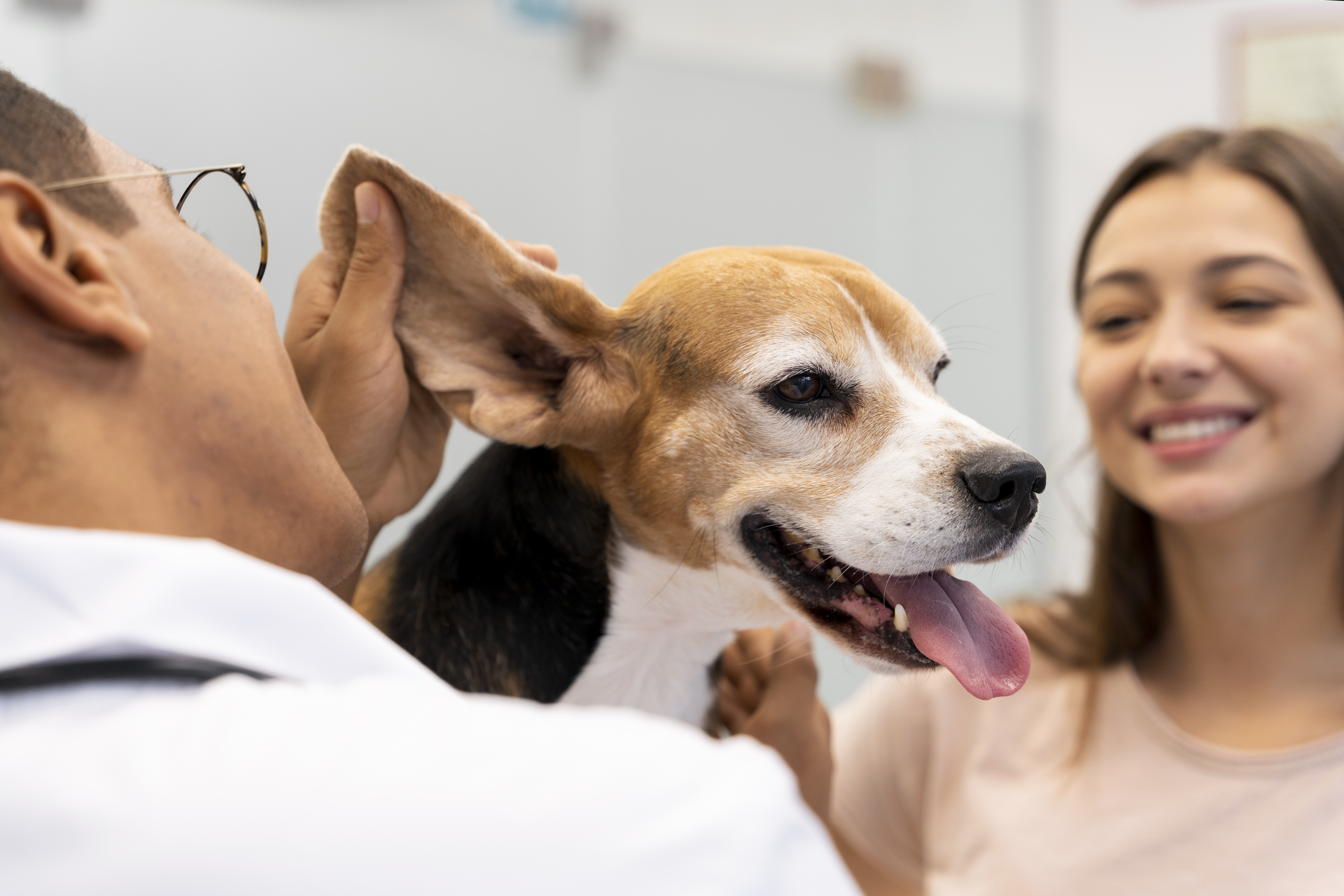 Veterinarian and owner with a happy dog